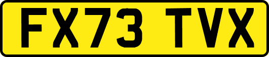 FX73TVX