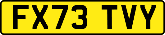 FX73TVY