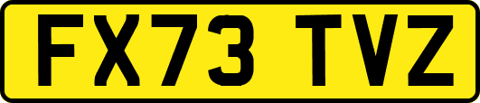 FX73TVZ