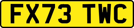 FX73TWC
