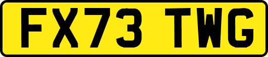 FX73TWG