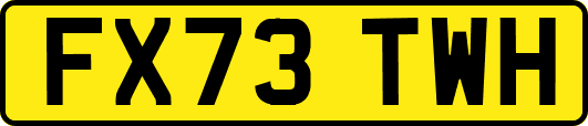 FX73TWH