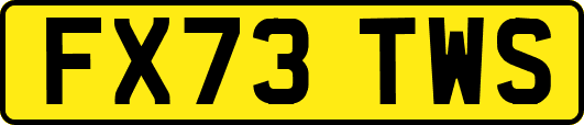 FX73TWS