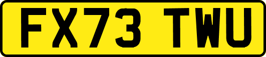 FX73TWU