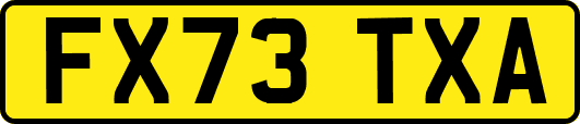FX73TXA