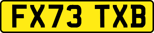 FX73TXB