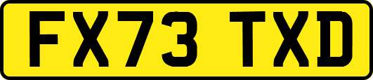 FX73TXD