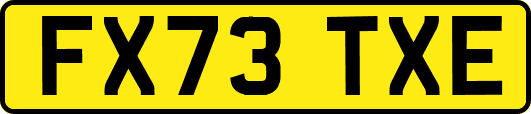 FX73TXE