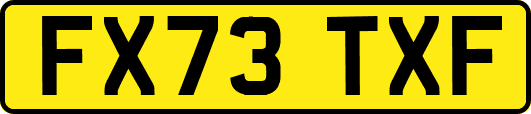 FX73TXF