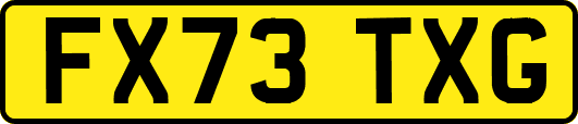 FX73TXG