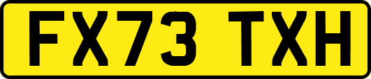 FX73TXH