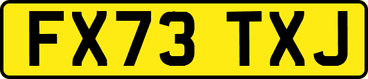 FX73TXJ