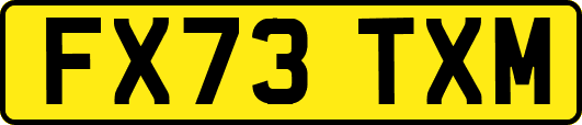 FX73TXM