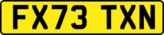 FX73TXN