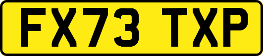 FX73TXP