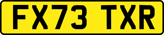 FX73TXR