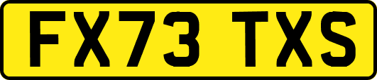 FX73TXS
