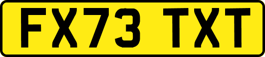 FX73TXT