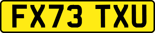 FX73TXU