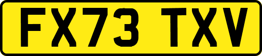 FX73TXV