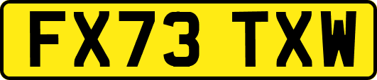 FX73TXW