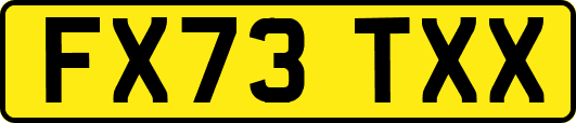 FX73TXX