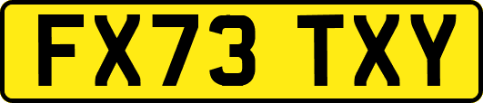 FX73TXY