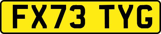 FX73TYG