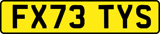 FX73TYS
