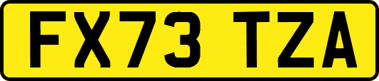FX73TZA
