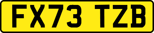 FX73TZB