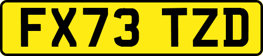 FX73TZD