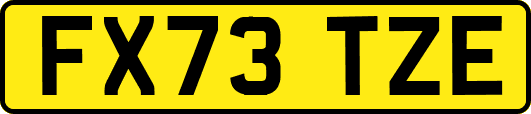 FX73TZE