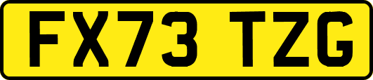 FX73TZG