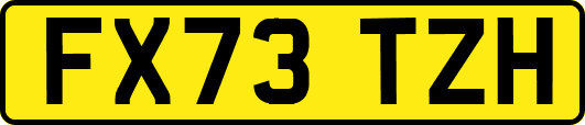 FX73TZH