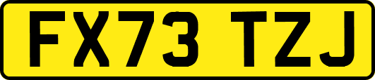 FX73TZJ