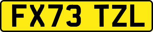 FX73TZL