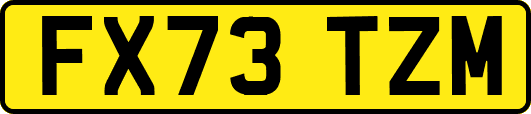 FX73TZM