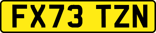 FX73TZN