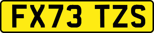FX73TZS
