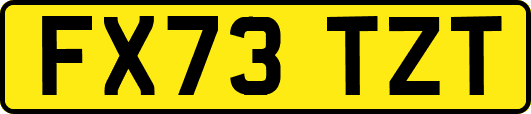 FX73TZT