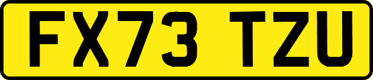 FX73TZU