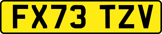 FX73TZV
