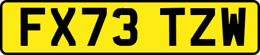 FX73TZW