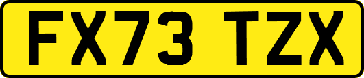 FX73TZX