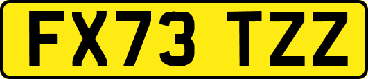 FX73TZZ