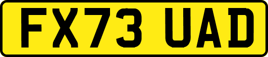 FX73UAD