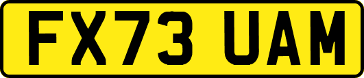 FX73UAM