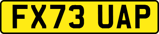 FX73UAP