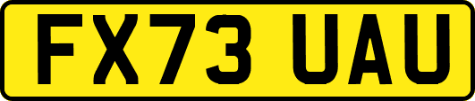 FX73UAU